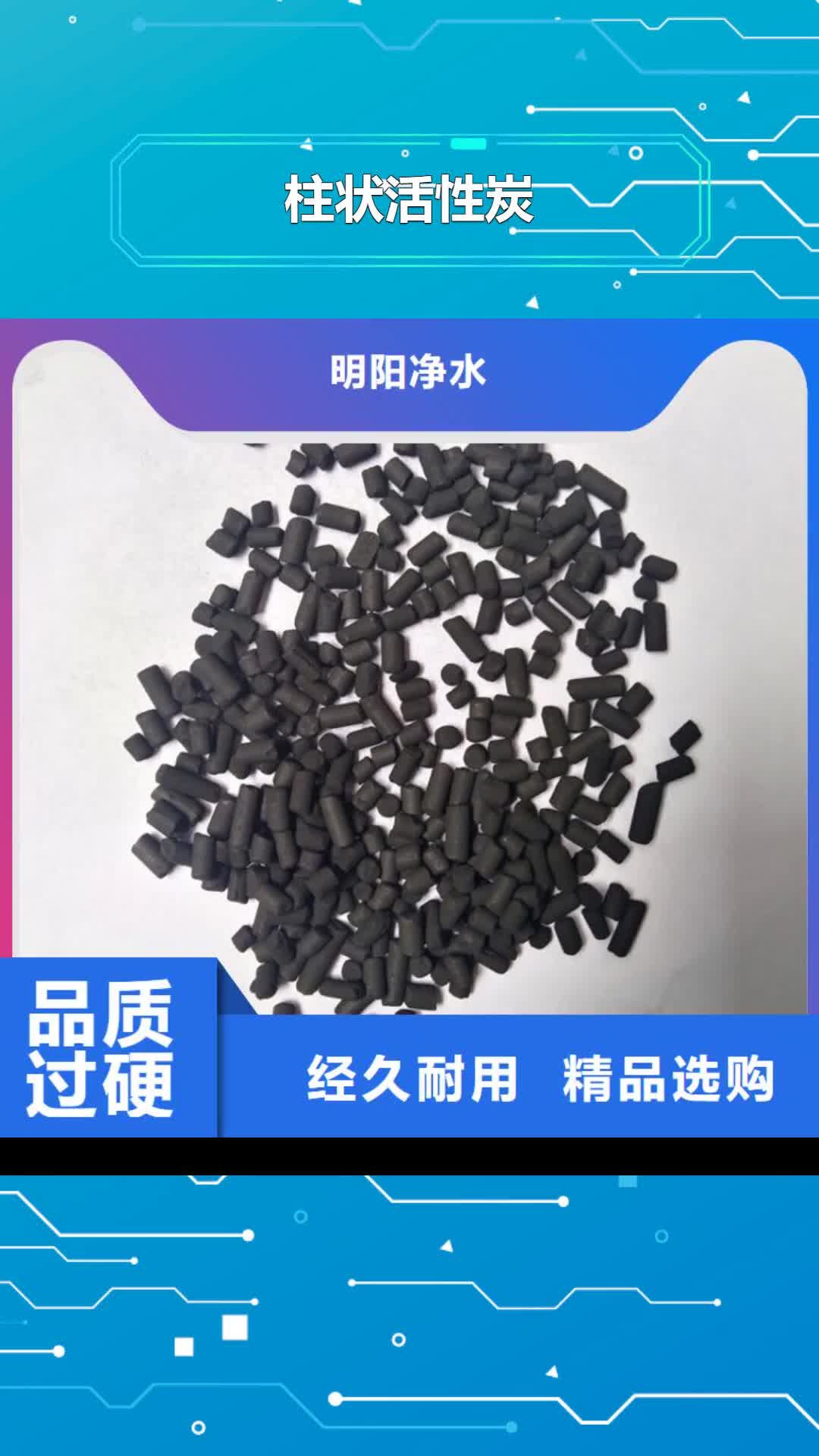 崇左 柱状活性炭 【蜂窝斜管】用心制造