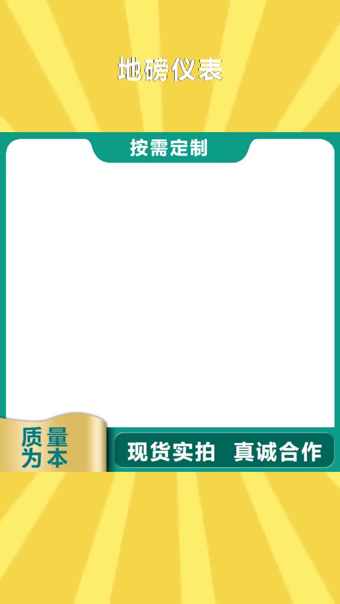 定西 地磅仪表 【防爆地磅】产地直销