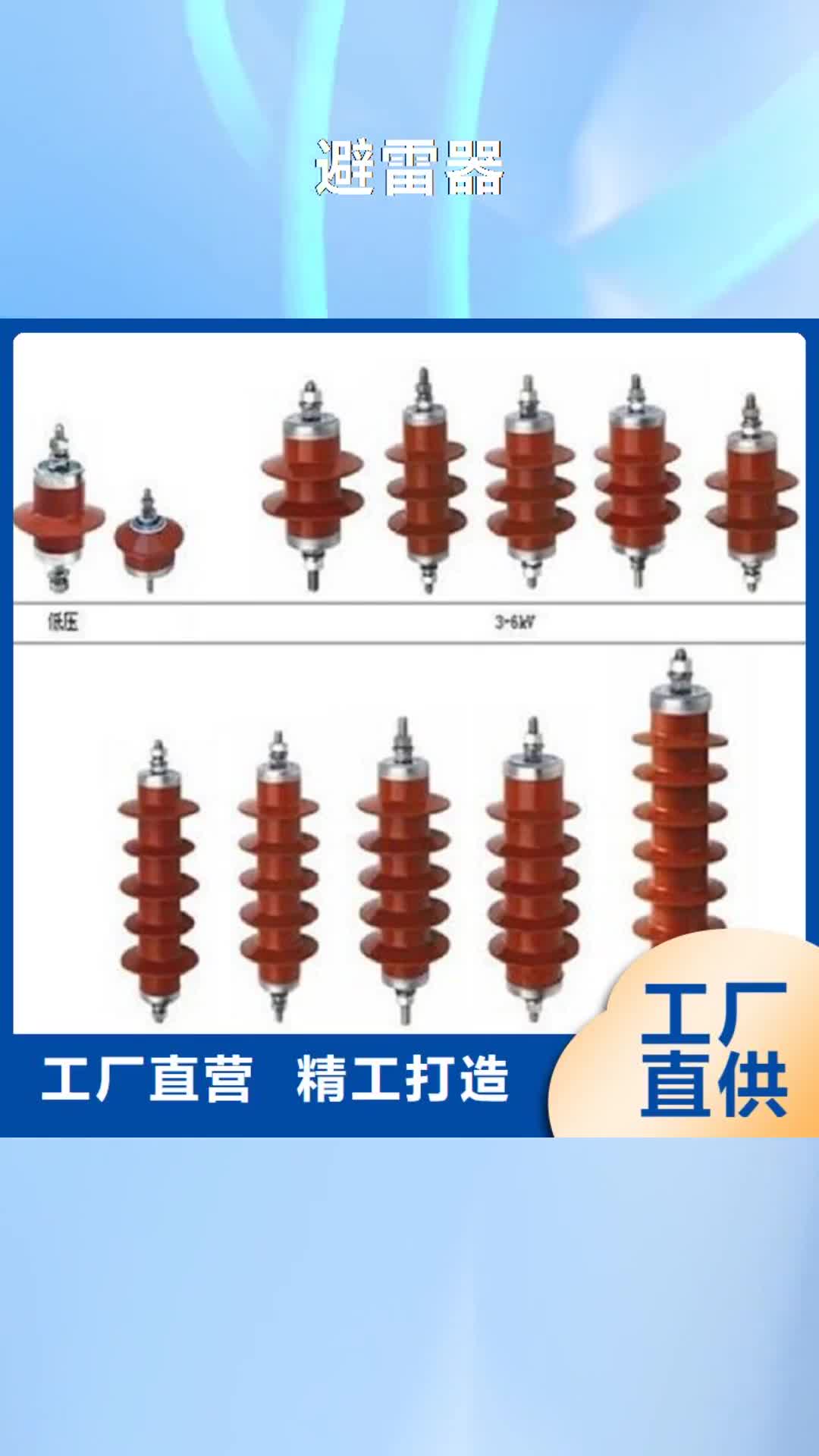 河源避雷器绝缘子厂家规格全