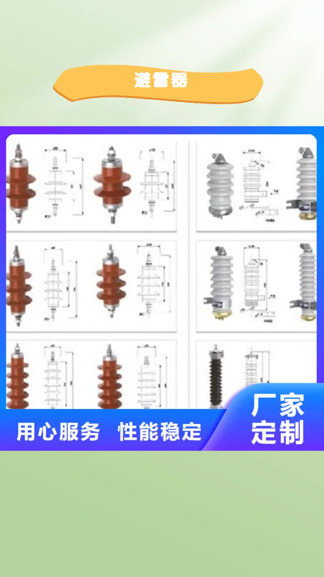 南通避雷器真空断路器厂家