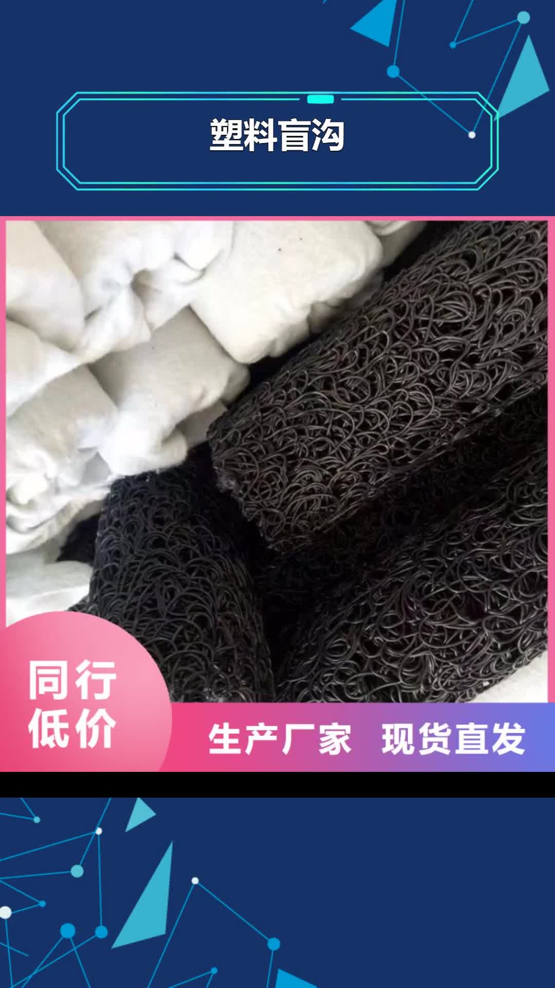 甘南【塑料盲沟】矿用格栅一件也发货