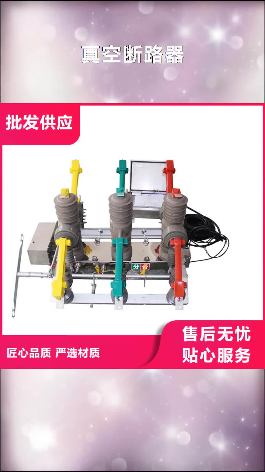 【朝阳 真空断路器,氧化锌避雷器可放心采购】