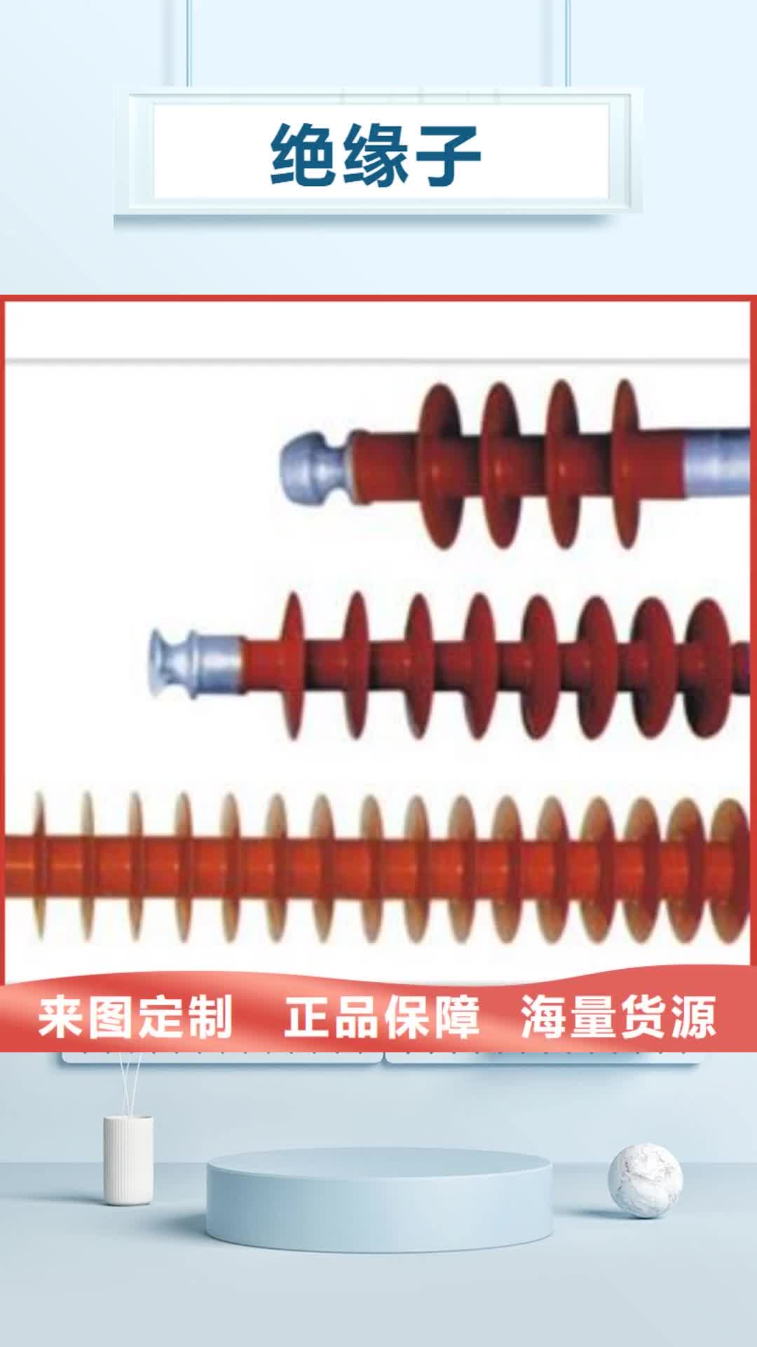 太原绝缘子真空断路器设计制造销售服务一体