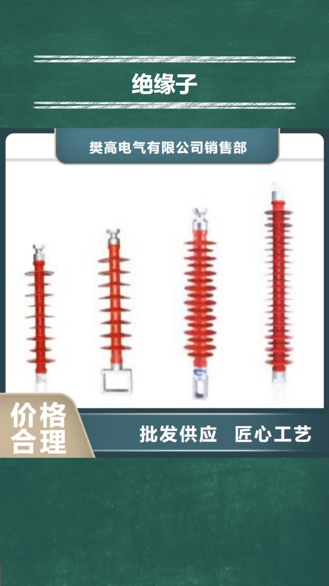 东莞绝缘子高低压电器厂家直接面向客户