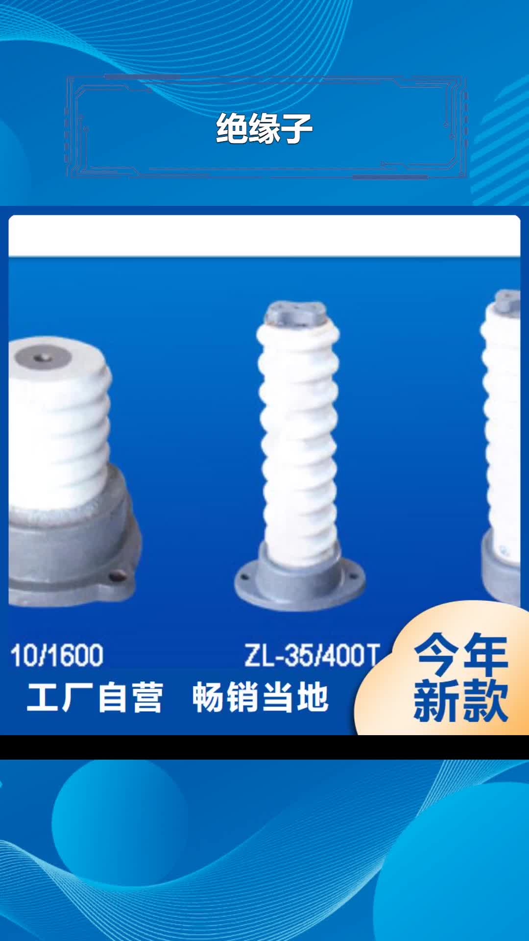 保山 绝缘子合作共赢