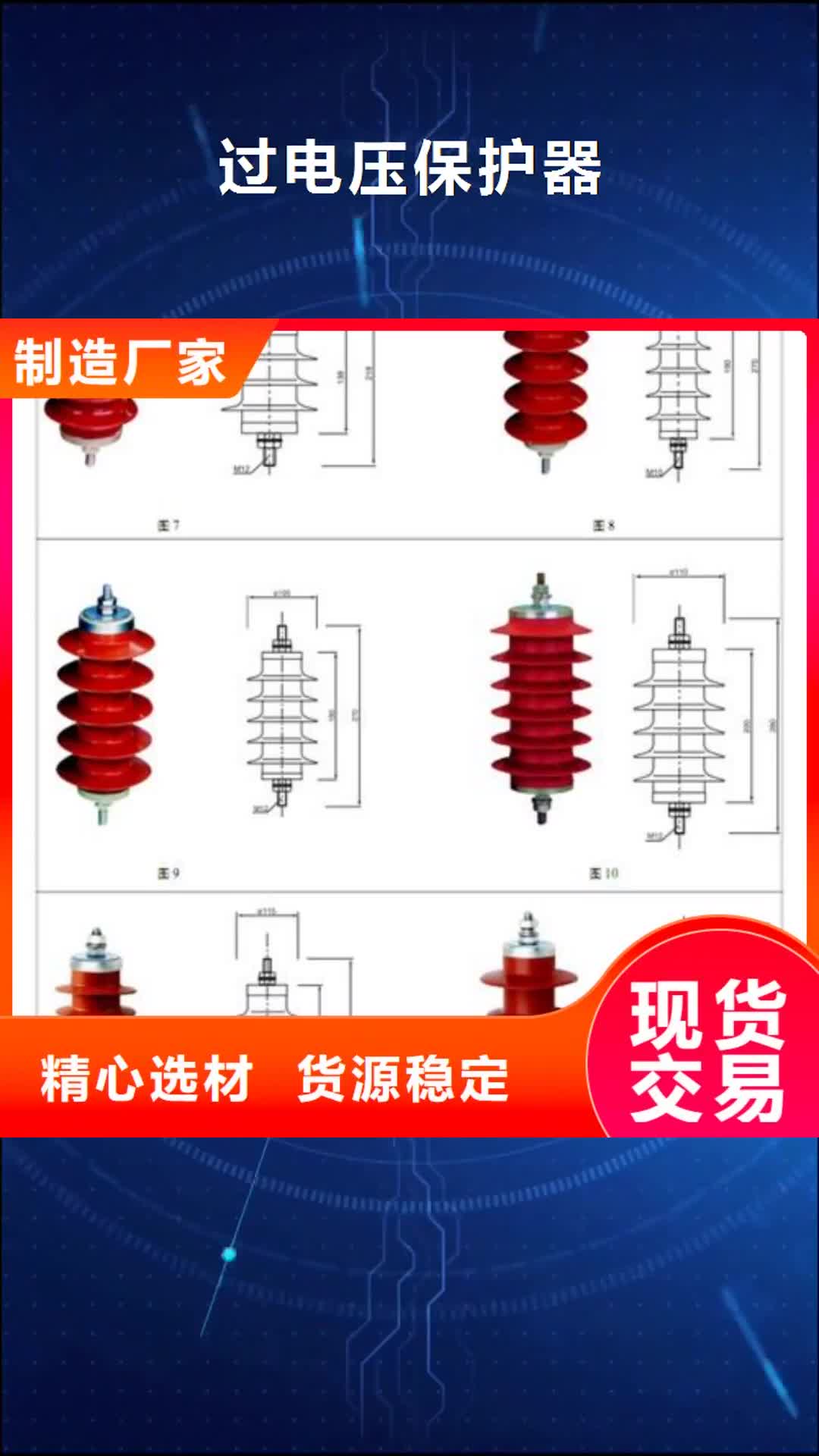 广安 过电压保护器【绝缘子】多年经验值得信赖